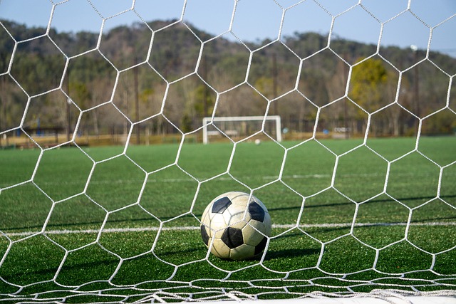 了佩德里的 了佩德里的