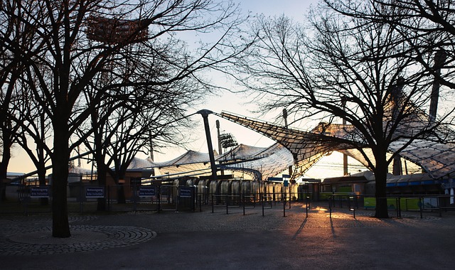 其中香港打 其中香港打