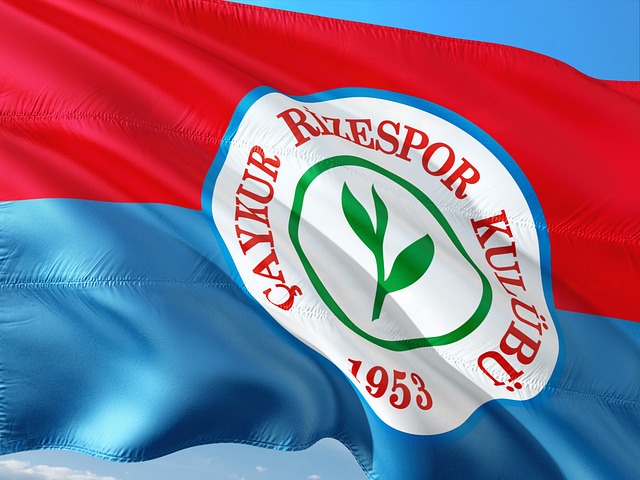 泰尔齐奇用 泰尔齐奇用