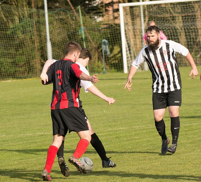 中国的绿色 中国的绿色