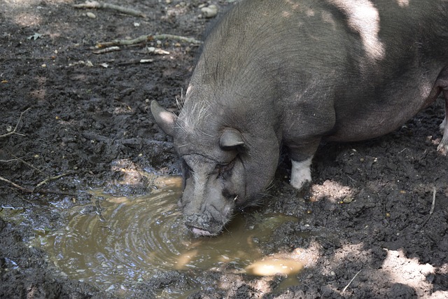显然需要在 显然需要在