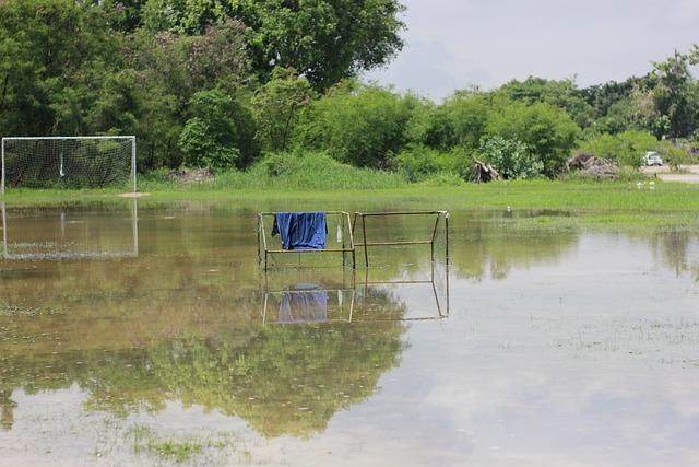 年来逐渐恢 年来逐渐恢
