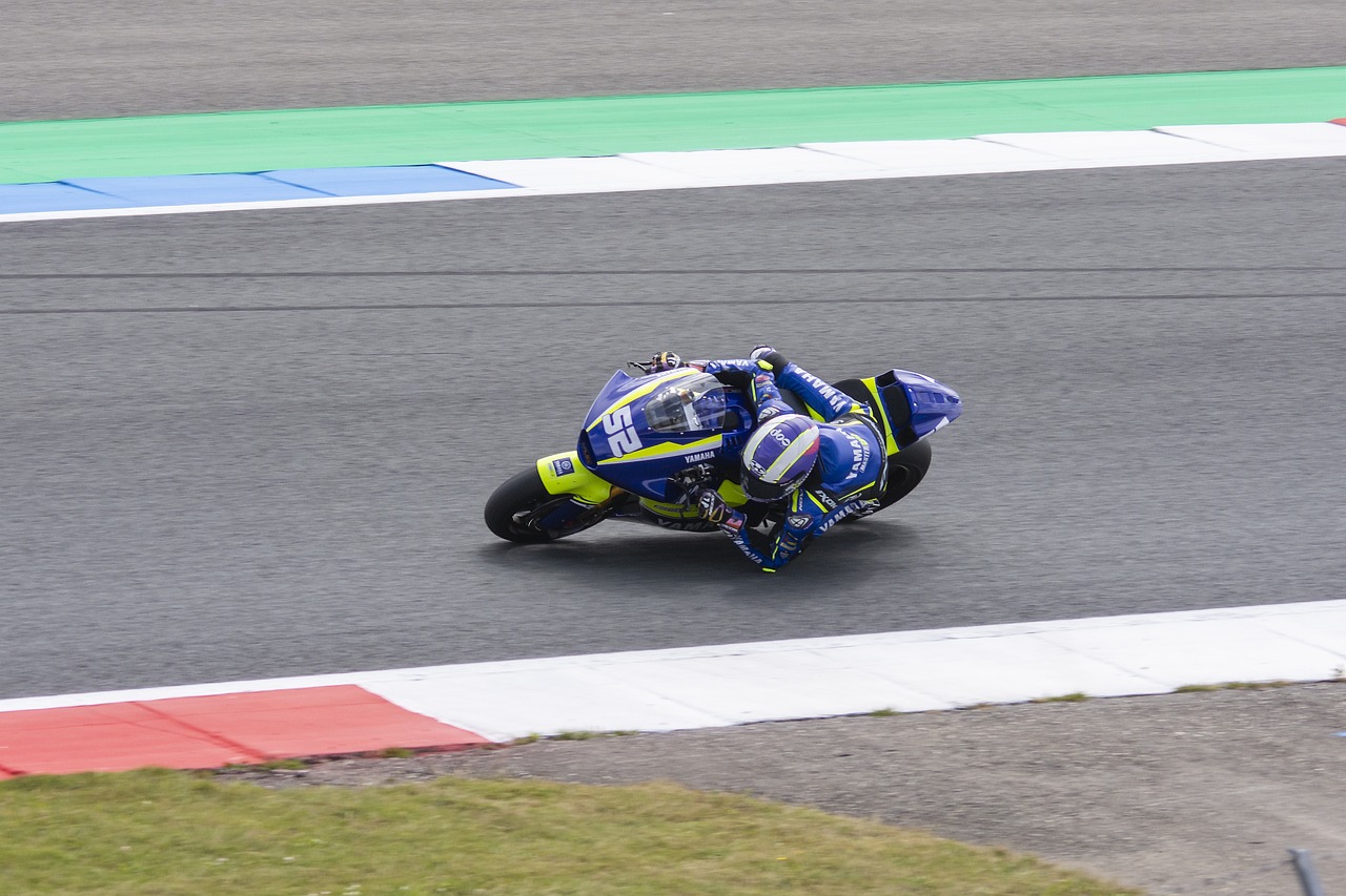 道的自由不 道的自由不